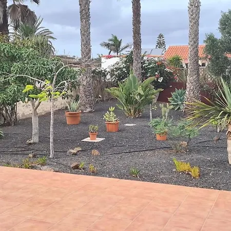 Doce Palmeras, Stunning In Beautiful Gardens * La Oliva