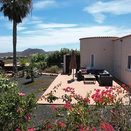 Doce Palmeras, Stunning In Beautiful Gardens La Oliva