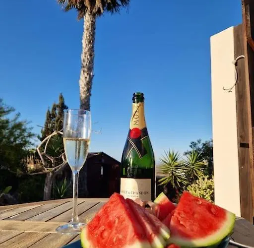 Doce Palmeras, Stunning In Beautiful Gardens Villa *