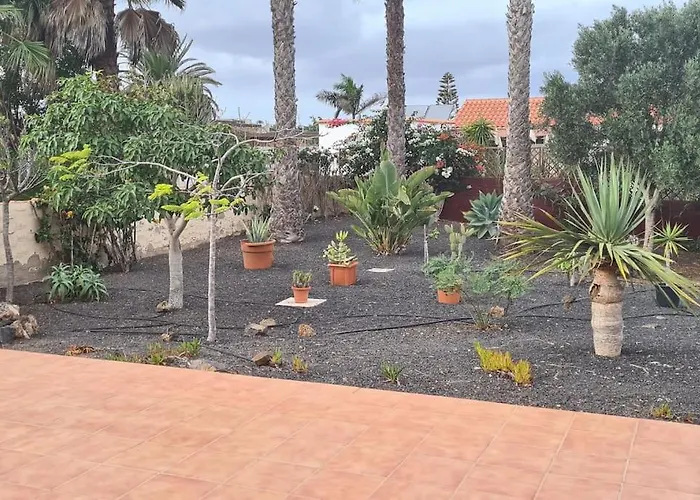 Doce Palmeras, Stunning In Beautiful Gardens * لا أوليفا